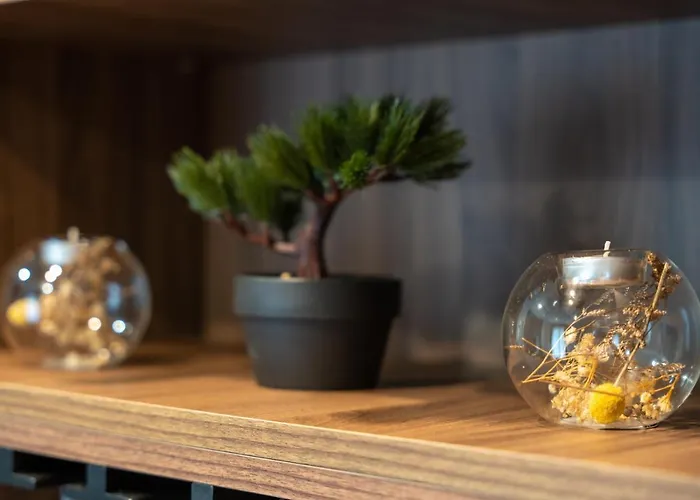 דירה Riva Vrnjačka Banja